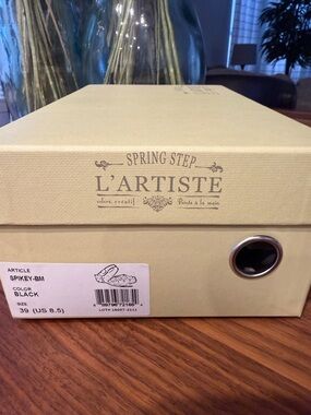 L'ARTISTE Black Women's Mules & Clogs Shoe Box